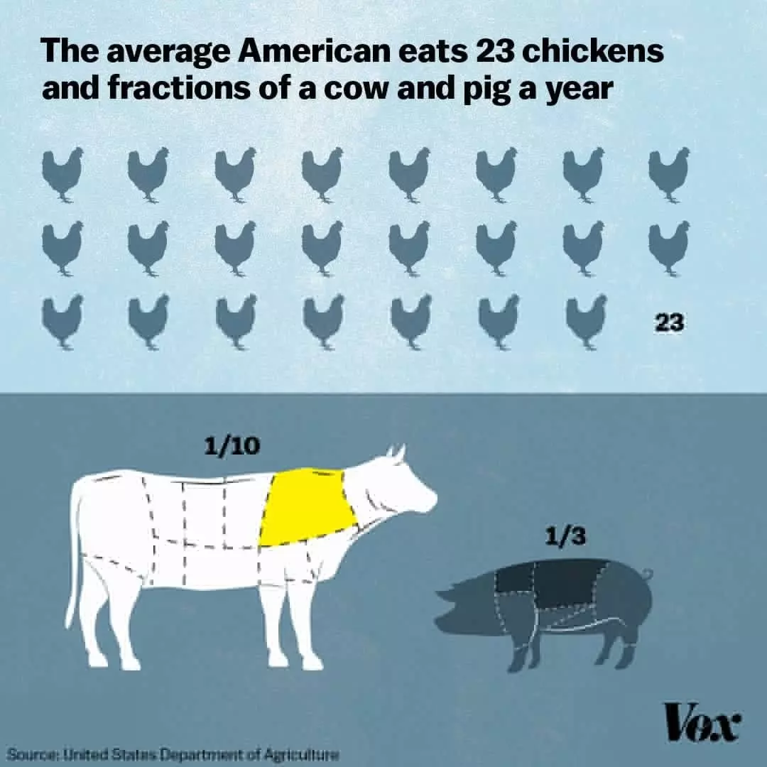 Американцы едят кур вдвое чаще, чем россияне