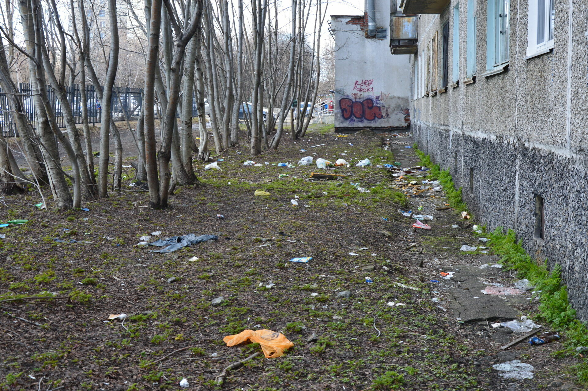 Мурманск: город, который стал помойкой (фоторепортаж)