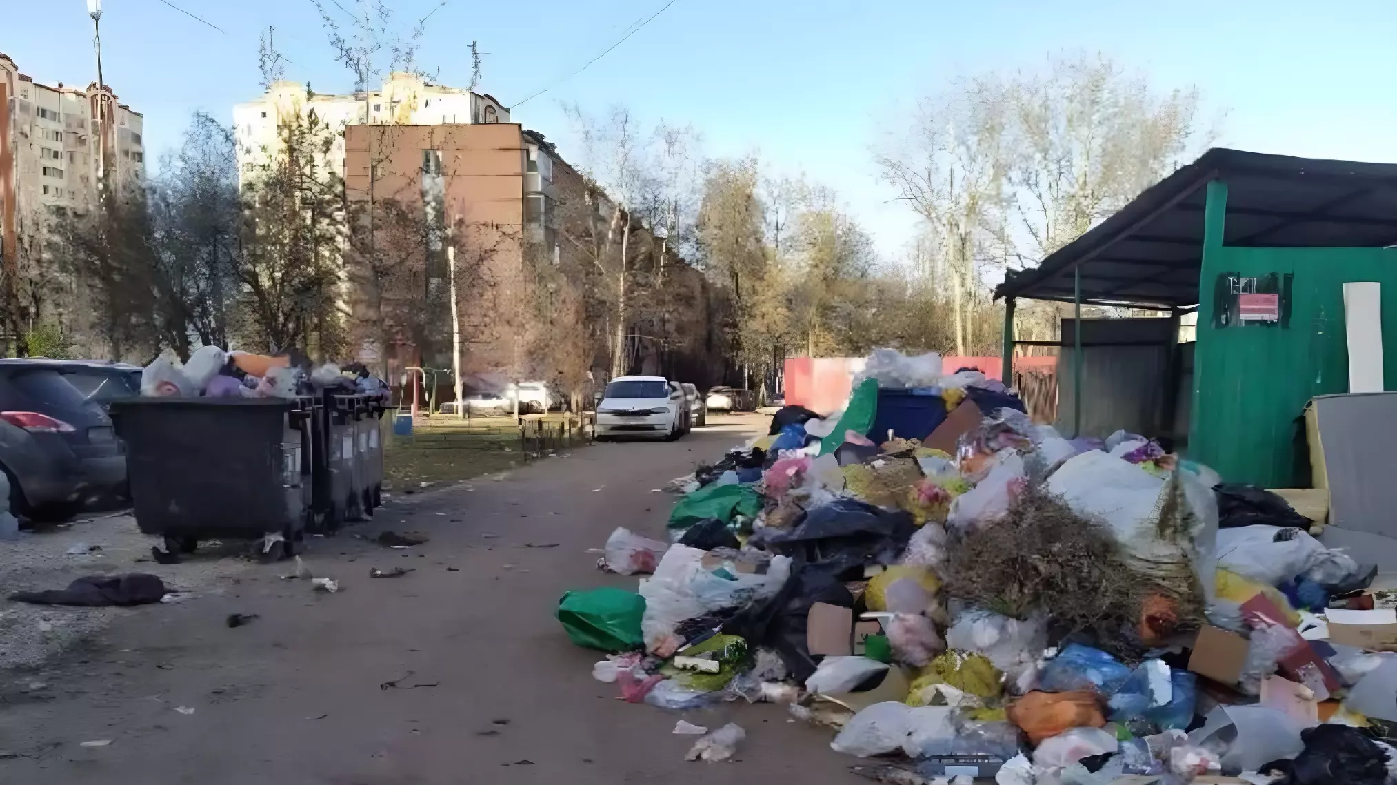 «Мы тонем в мусоре»: жители Подольска утопают в отходах и жалуются на полчища крыс
