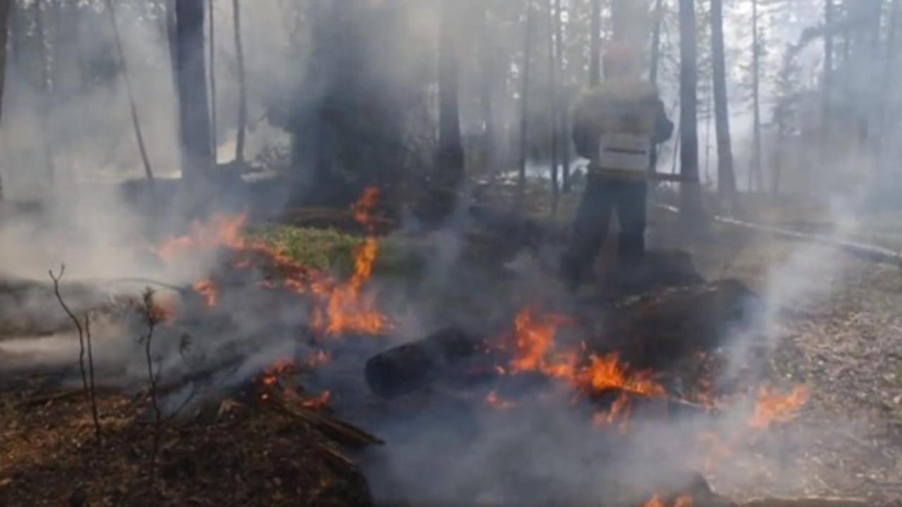 Якутия в огне: лесные пожары подошли вплотную к населенным пунктам (ВИДЕО)