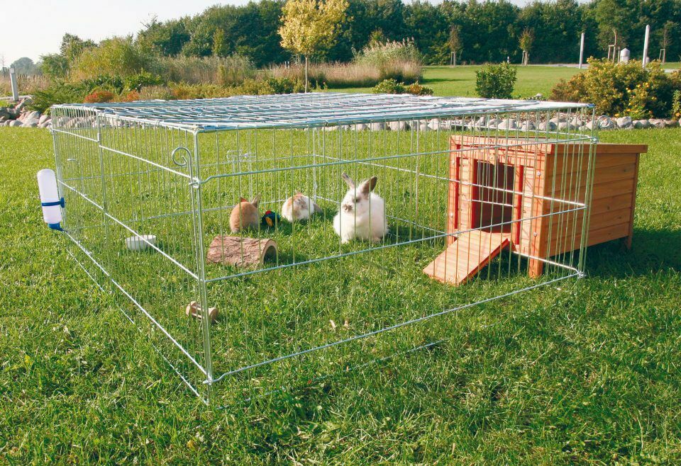 Владимир Путин разрешил разводить на садовых участках кроликов и кур