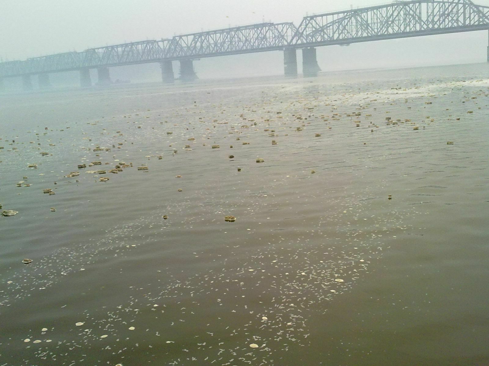 МЧС: Волга загрязнена на площади 3 тыс. кв метров