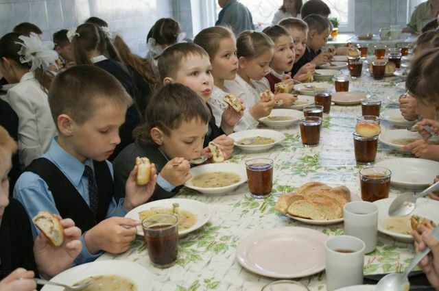 Чиновников Сургута будут кормить школьными обедами
