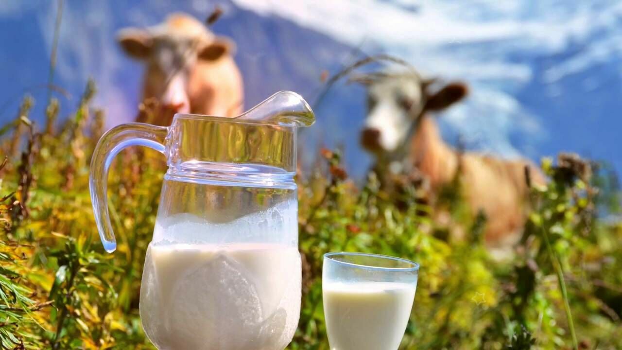 Роскачество назвало марки самого некачественного молока