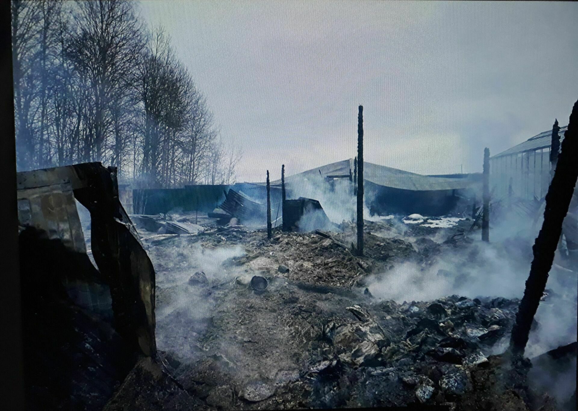 В МЧС пока не знают, граждане каких стран сгорели в деревне Нестерово