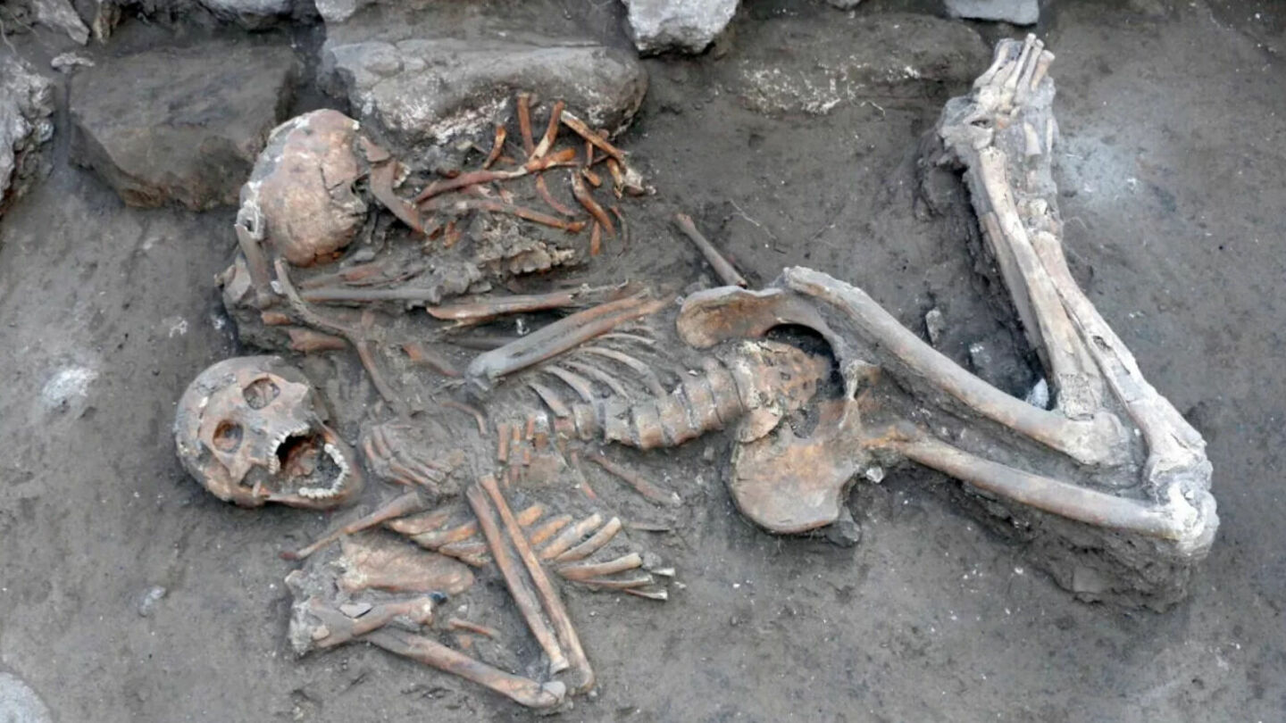 Антропологи обнаружили жертву «операции на мозге», сделанной 3400 лет назад
