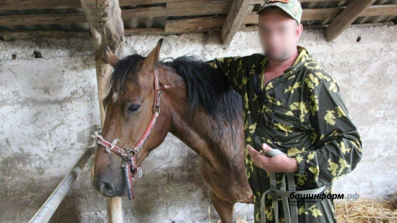 Кавалерия на СВО: зачем в башкирский полк привезли «фронтовых» лошадей