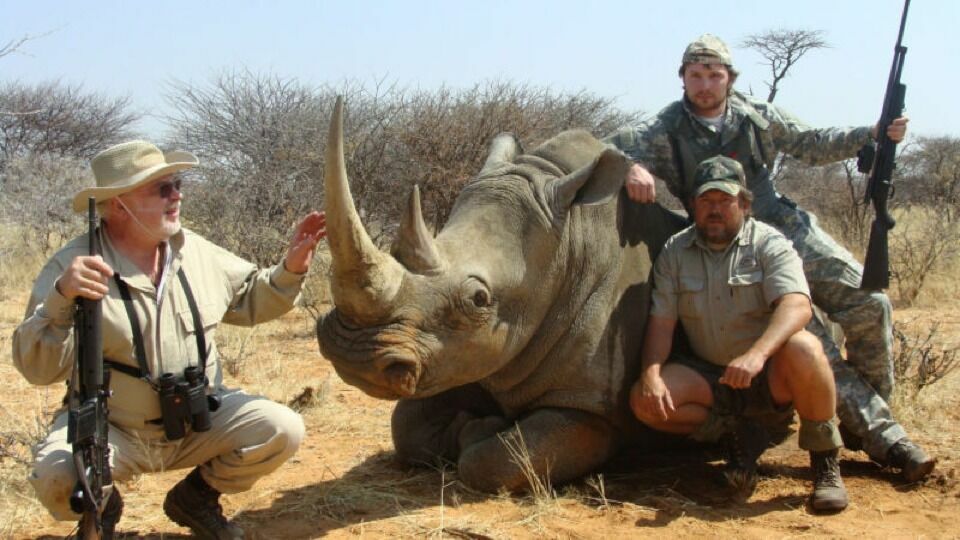 Экологи бьют тревогу: в Намибии браконьеры уничтожают последних носорогов