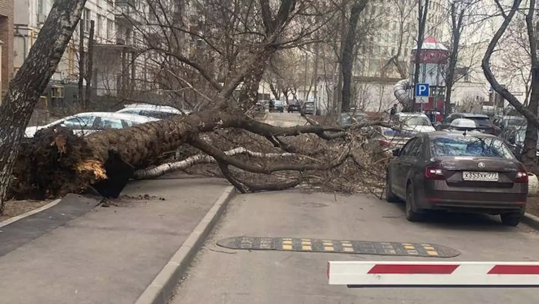 На Москву обрушился шторм, унесший жизни двух человек