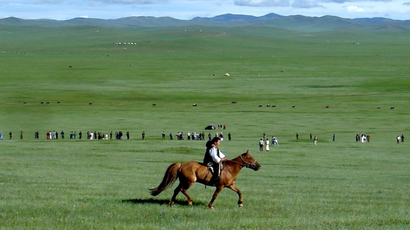 В Монголии выявили 137 природных очагов чумы, в том числе на границе с РФ