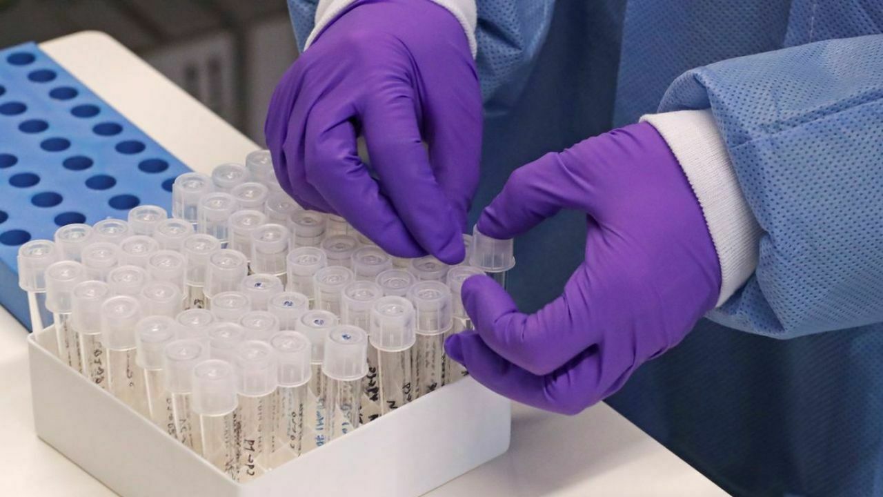 Россия отправит в Конго тысячи тест-систем, чтобы диагностировать коронавирус