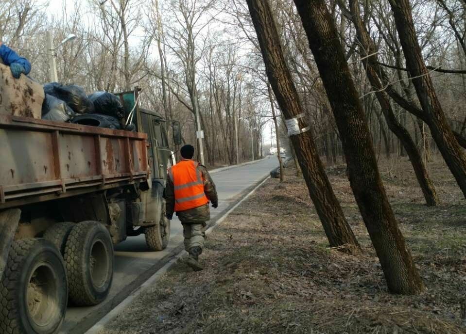 Из лесопарков Ростова-на-Дону вывезли 12 тонн мусора